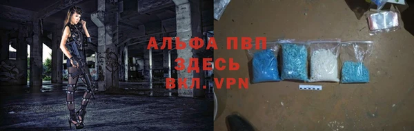 прущие грибы Бронницы