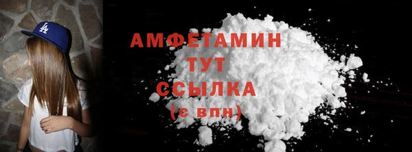 прущие грибы Бронницы