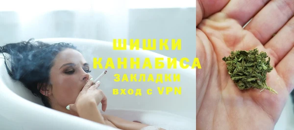 прущие грибы Бронницы