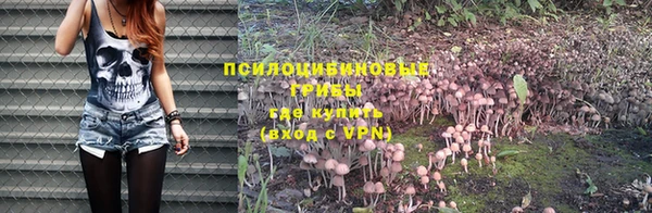 прущие грибы Бронницы
