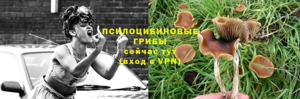 скорость Бородино