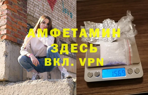 прущие грибы Бронницы