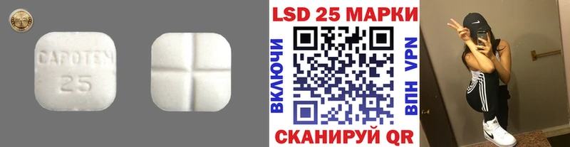 Купить закладки  Тавда  ЛСД экстази ecstasy 